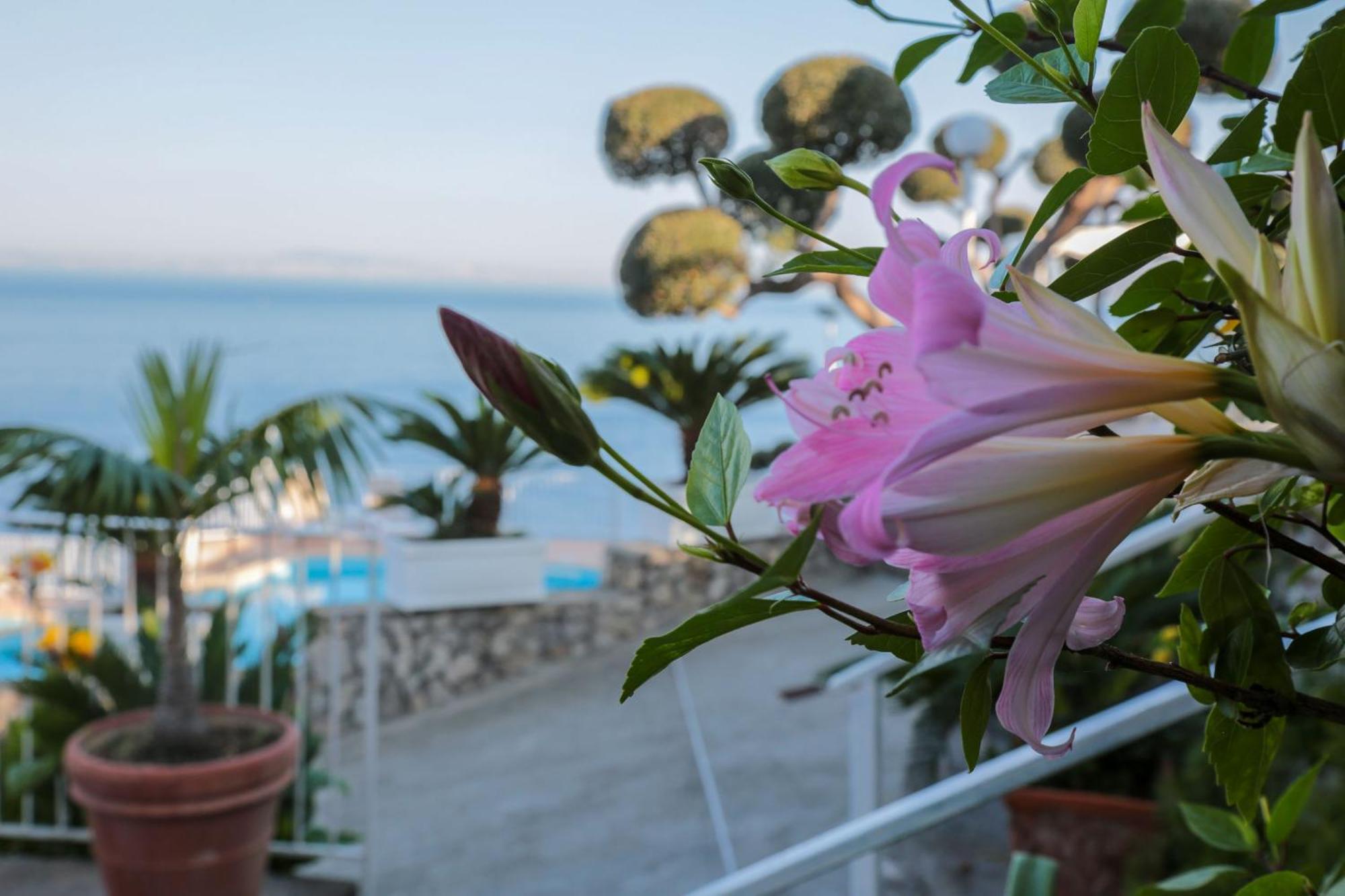 Hotel Villa Lubrense Sorrento มัสซาลูเบรนเซ ภายนอก รูปภาพ